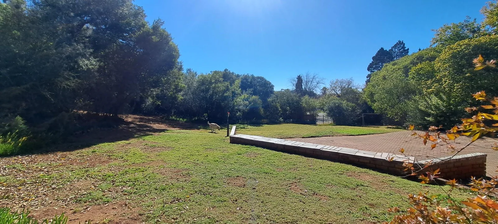 Perfect location, this charmer erf is for sale!