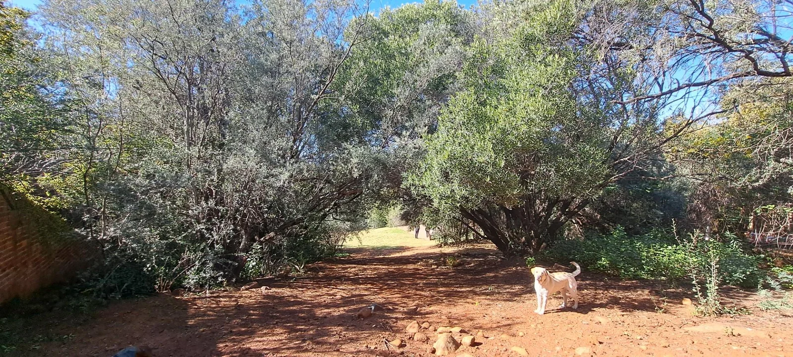 Perfect location, this charmer erf is for sale!