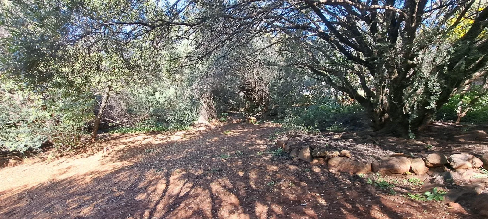 Perfect location, this charmer erf is for sale!