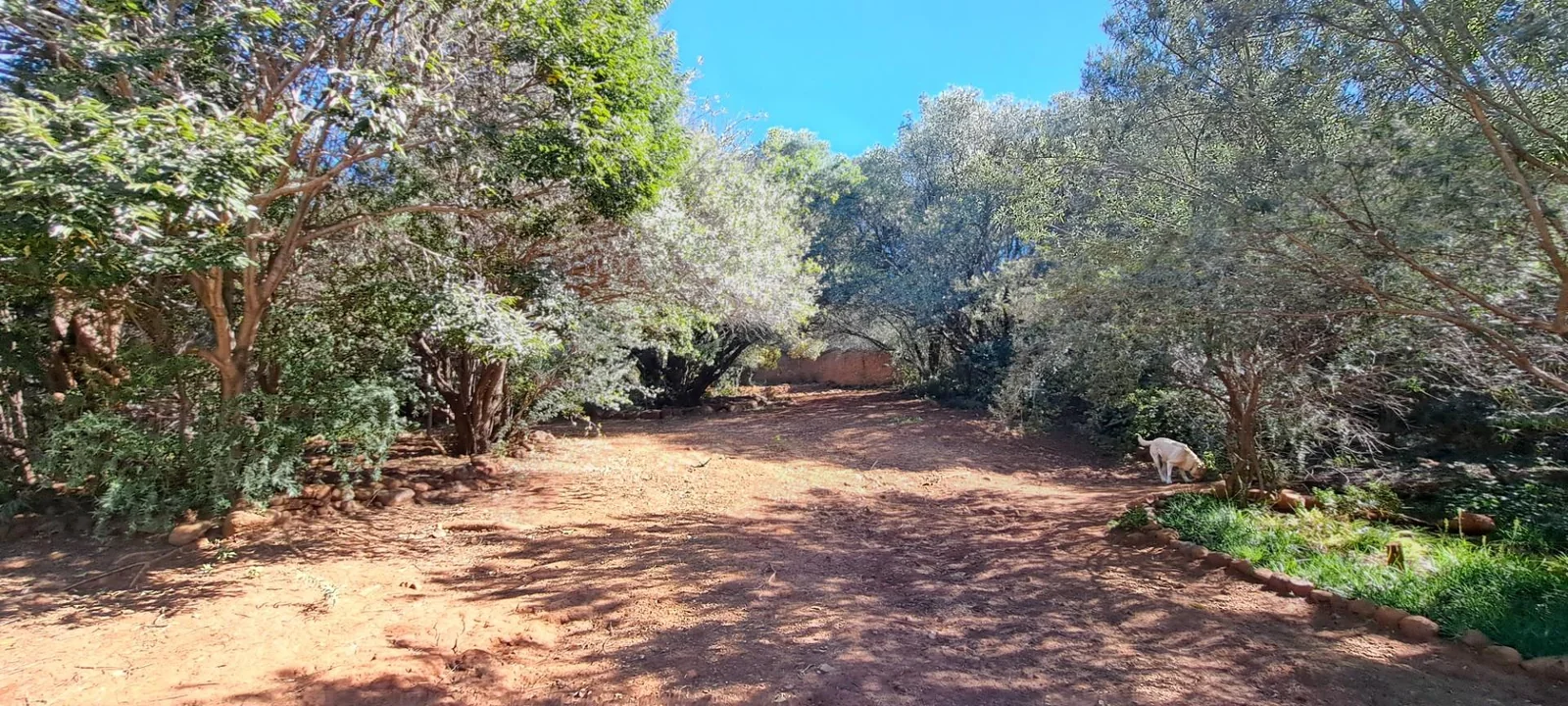 Perfect location, this charmer erf is for sale!