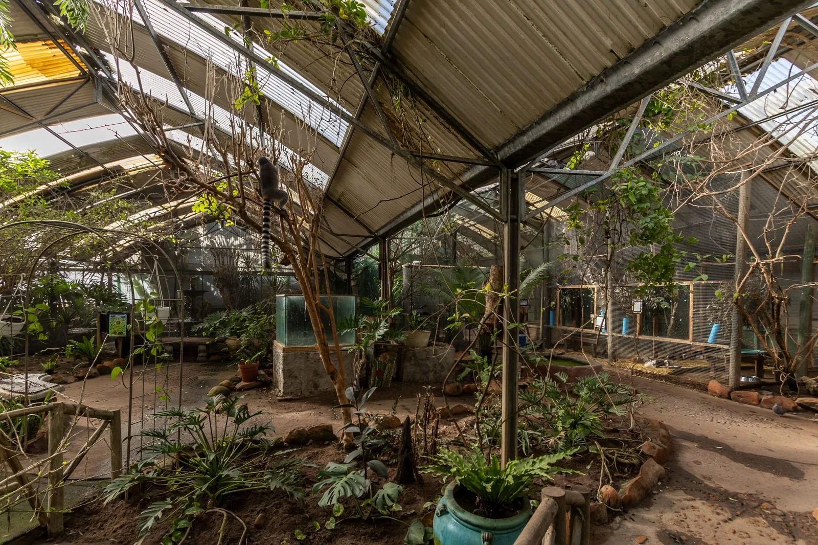 Exotic Animal World - Prime Eco-Tourism Destination with Expansion Potential