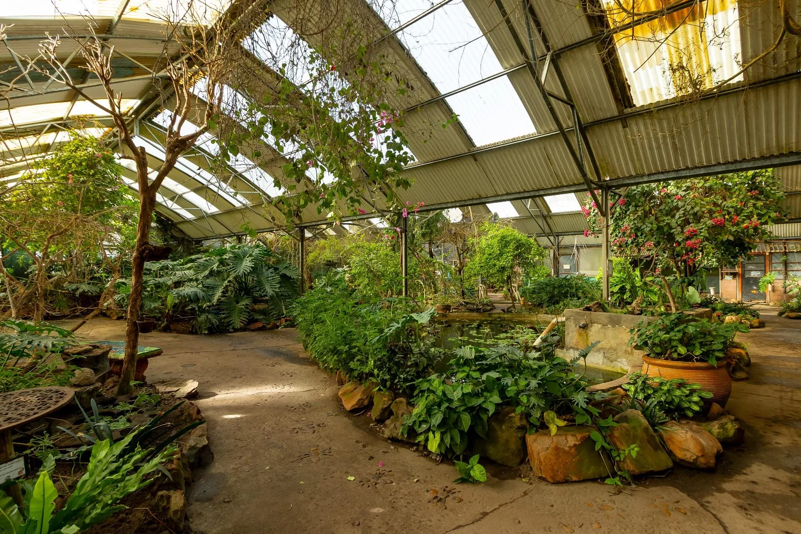 Exotic Animal World - Prime Eco-Tourism Destination with Expansion Potential