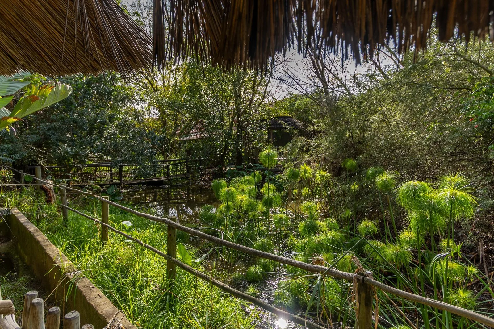 Exotic Animal World - Prime Eco-Tourism Destination with Expansion Potential