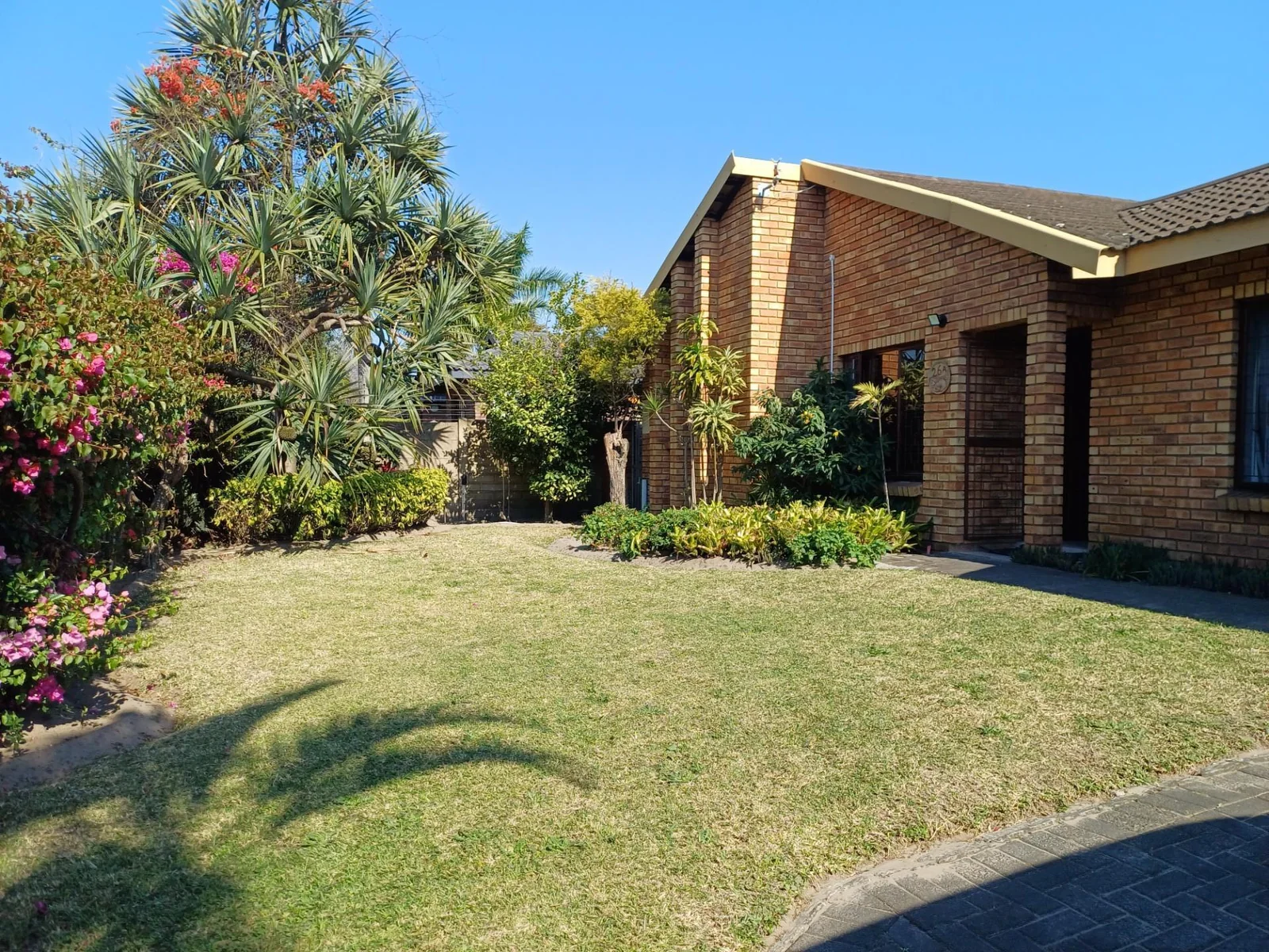 Stunning Face Brick!