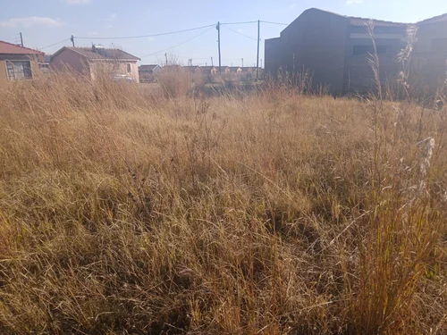 Golden Gardens, Sebokeng