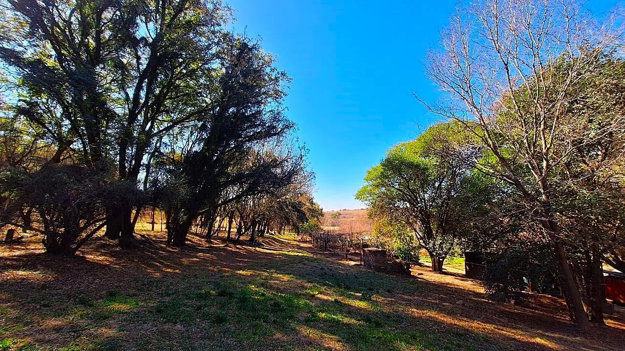 Multi-Dwelling Income Farm Oasis in Nooitgedacht – Where Potential Meets Position – Overwhelming Opportunities Await You, on this Extraordinary Farm.