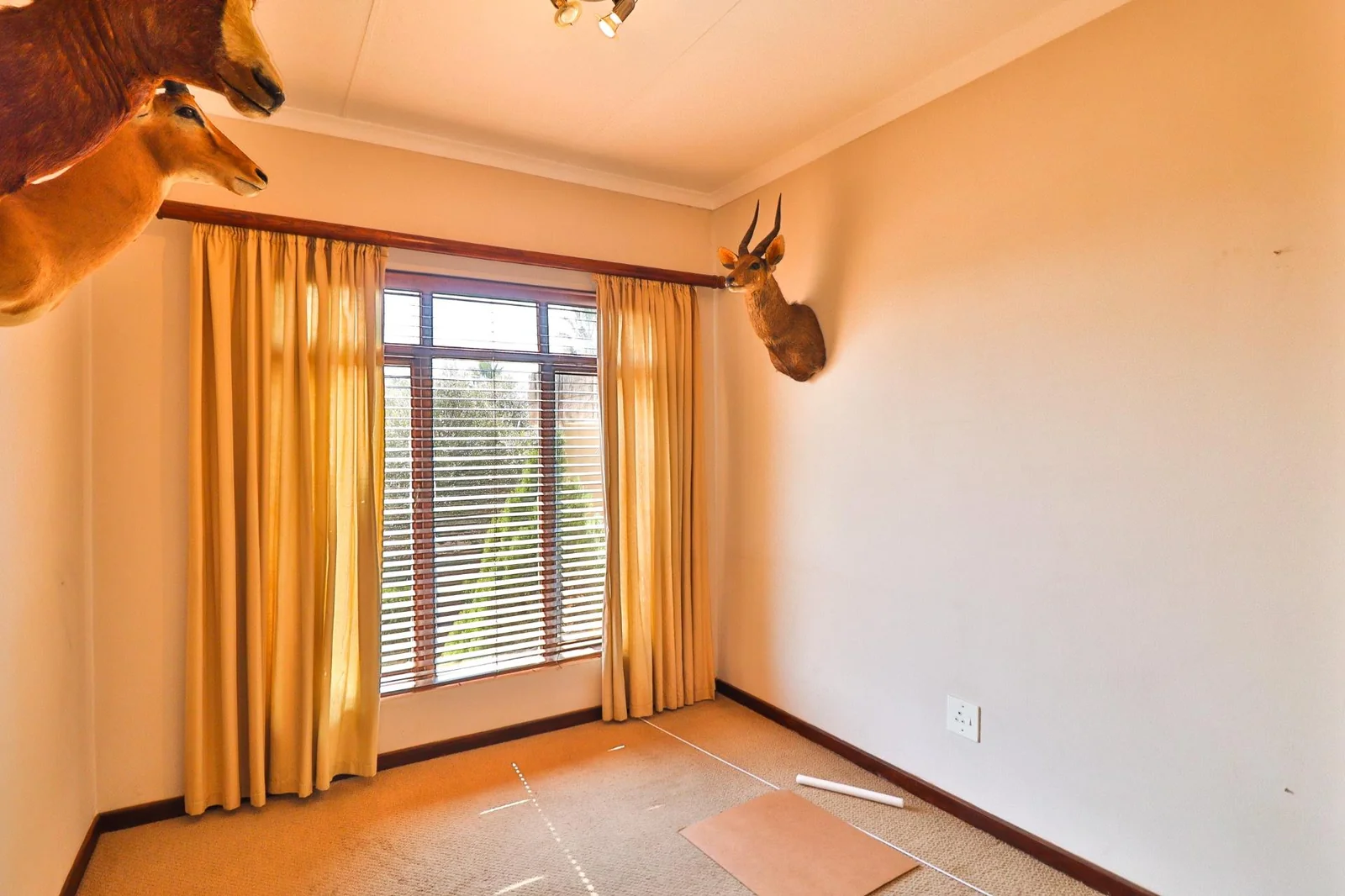 FOR THE ENTERTAINER ..... IT'S ALL HERE!