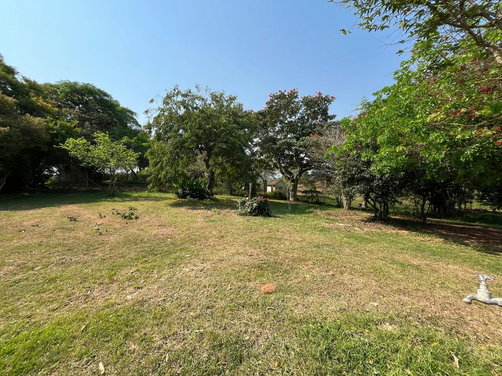 3-Bedroom Farm House To Let – Between Kwambonambi & Teza