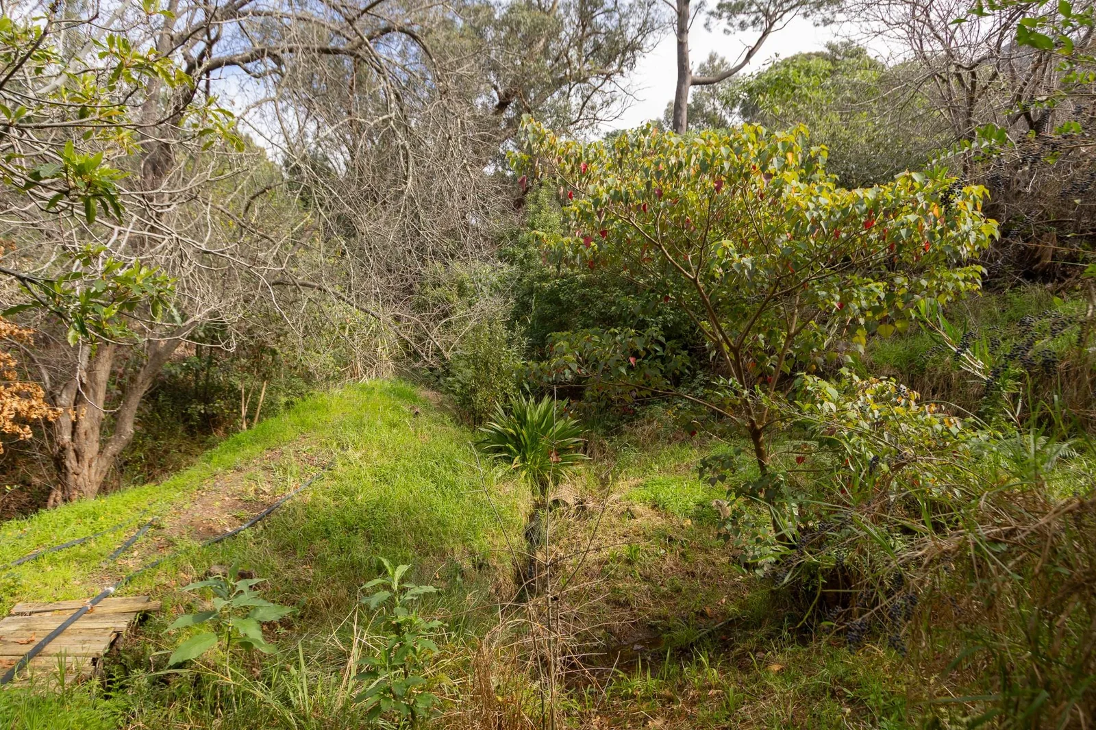 Exceptional plot and plan opportunity with breathtaking views