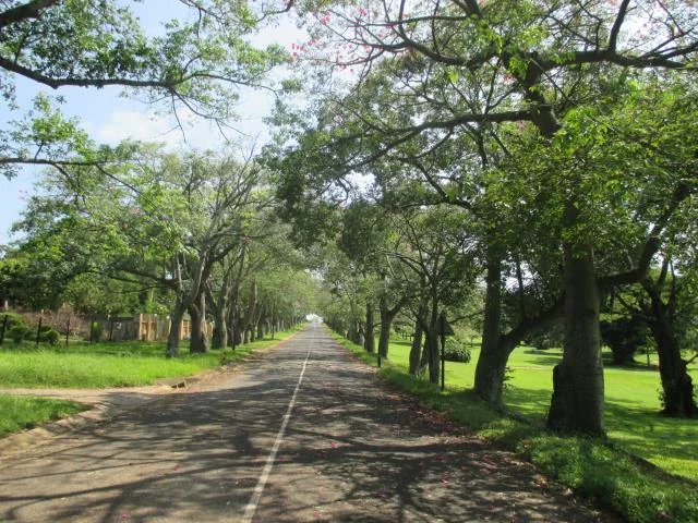 Build your dream home !