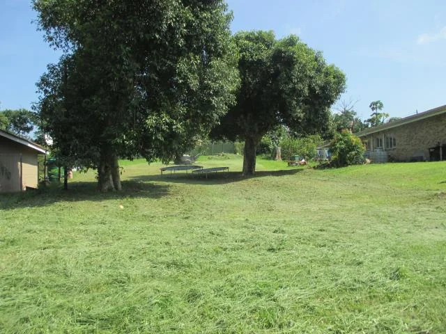 Build your dream home !