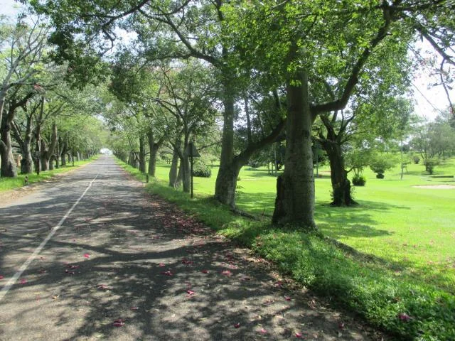 Build your dream home !