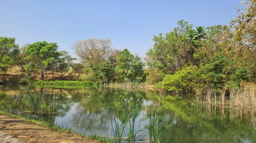 Sabie River Eco Estate, Hazyview