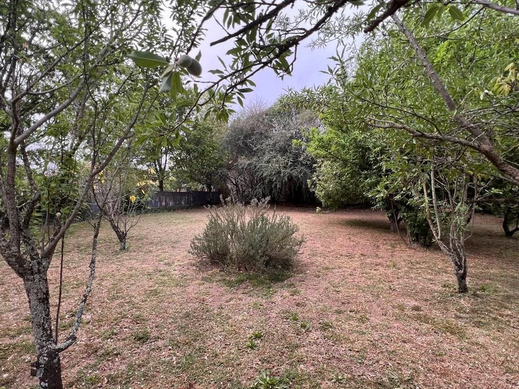 BEAUTIFUL SPACIOUS HOUSE IN A QUITE AREA