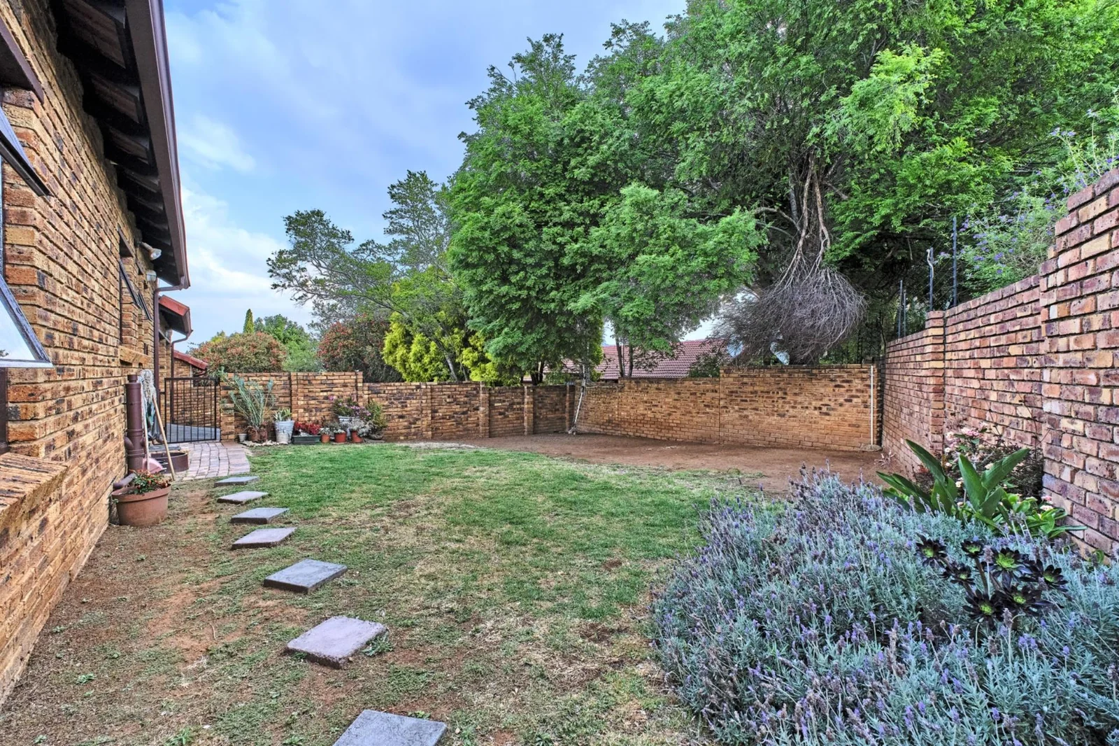 Simplex   l  Open plan lounge, kitchen + dining area  I  Large garden