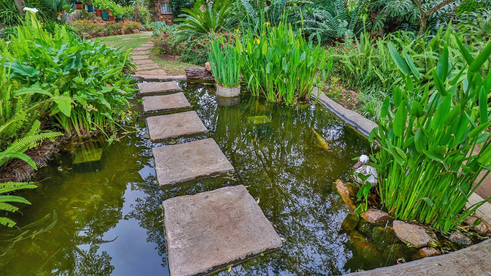 Exclusive 21-Hectare Farm Investment Opportunity | Centurion | Vlaksplaat