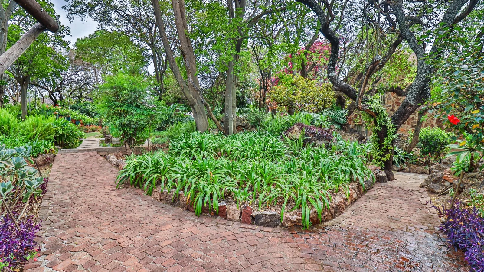 Exclusive 21-Hectare Farm Investment Opportunity | Centurion | Vlaksplaat