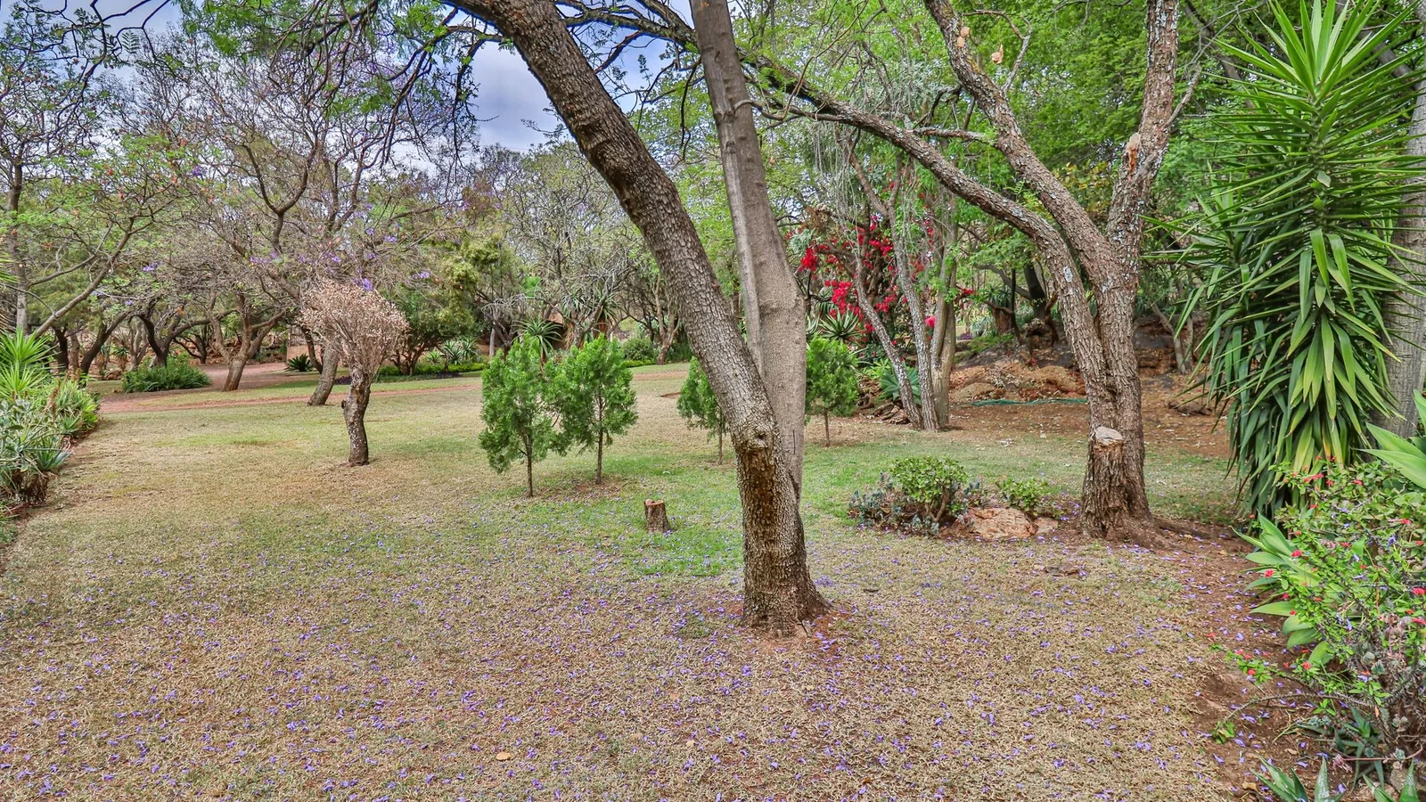 Exclusive 21-Hectare Farm Investment Opportunity | Centurion | Vlaksplaat