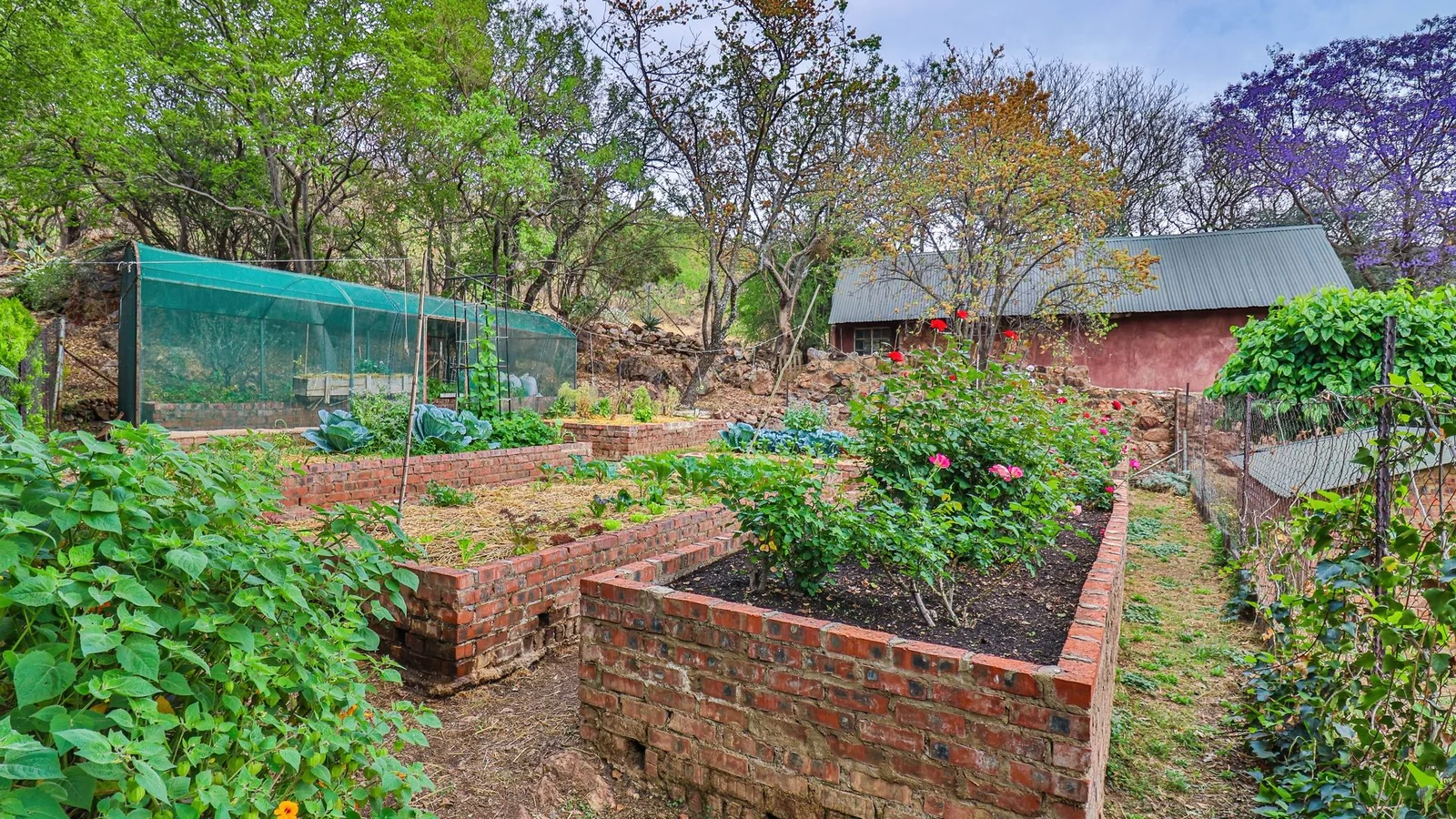 Exclusive 21-Hectare Farm Investment Opportunity | Centurion | Vlaksplaat