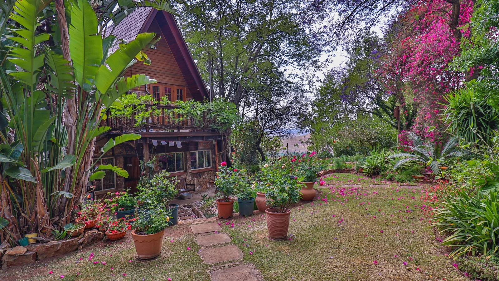 Exclusive 21-Hectare Farm Investment Opportunity | Centurion | Vlaksplaat
