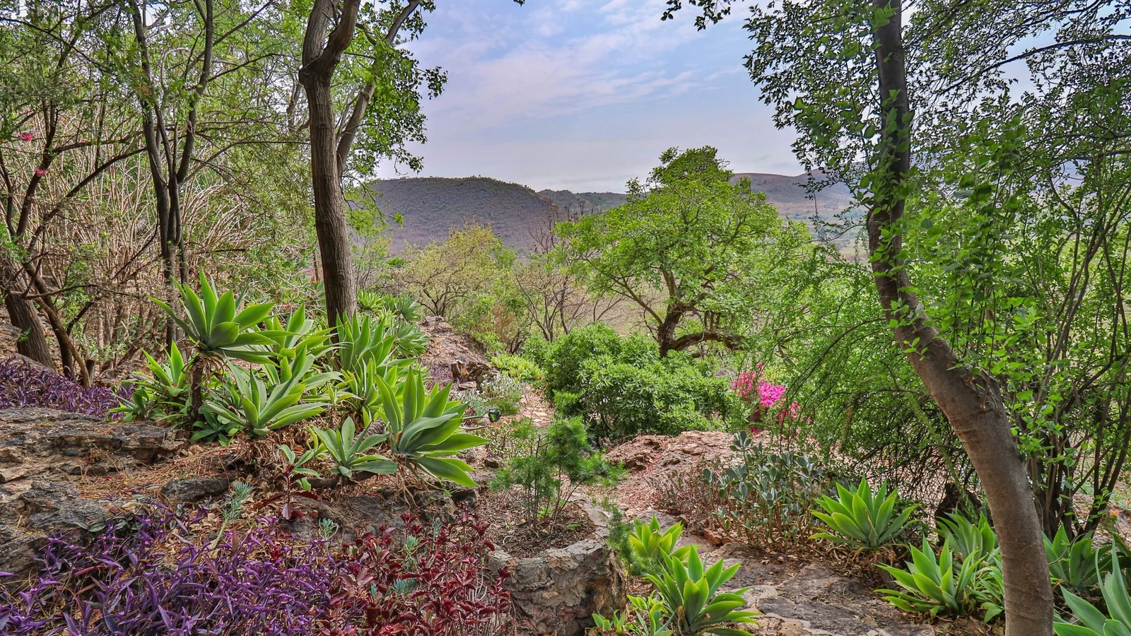 Exclusive 21-Hectare Farm Investment Opportunity | Centurion | Vlaksplaat