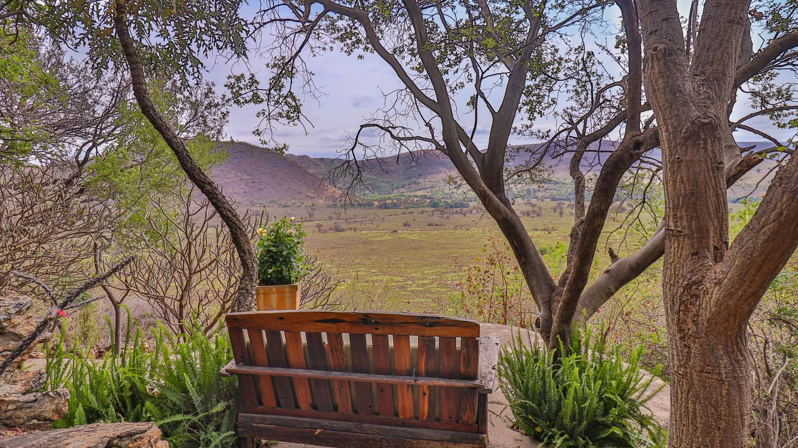 Exclusive 21-Hectare Farm Investment Opportunity | Centurion | Vlaksplaat