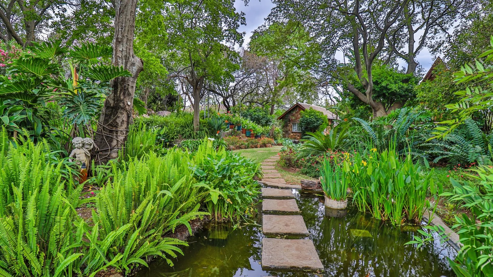 Exclusive 21-Hectare Farm Investment Opportunity | Centurion | Vlaksplaat