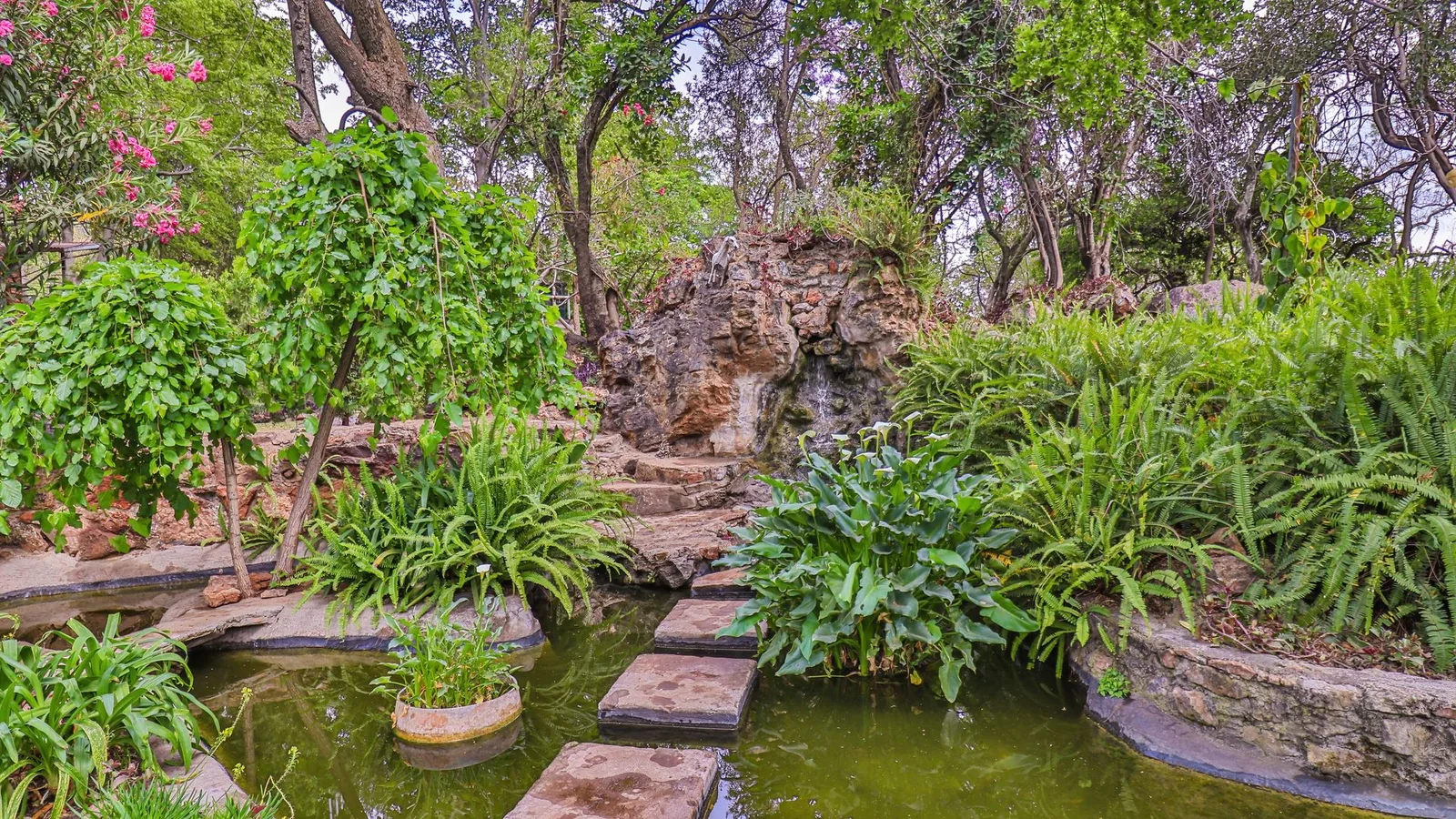 Exclusive 21-Hectare Farm Investment Opportunity | Centurion | Vlaksplaat