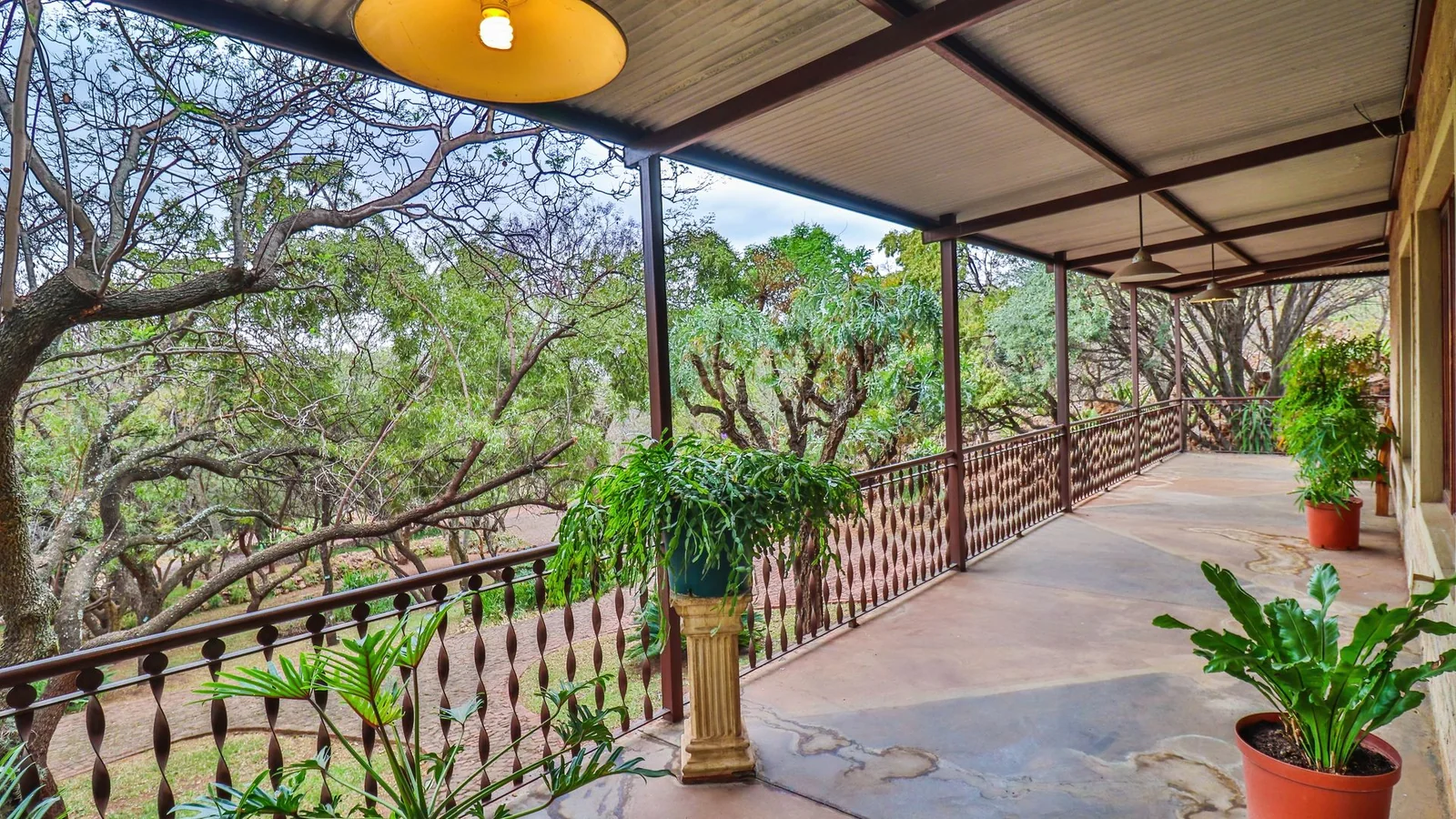 Exclusive 21-Hectare Farm Investment Opportunity | Centurion | Vlaksplaat