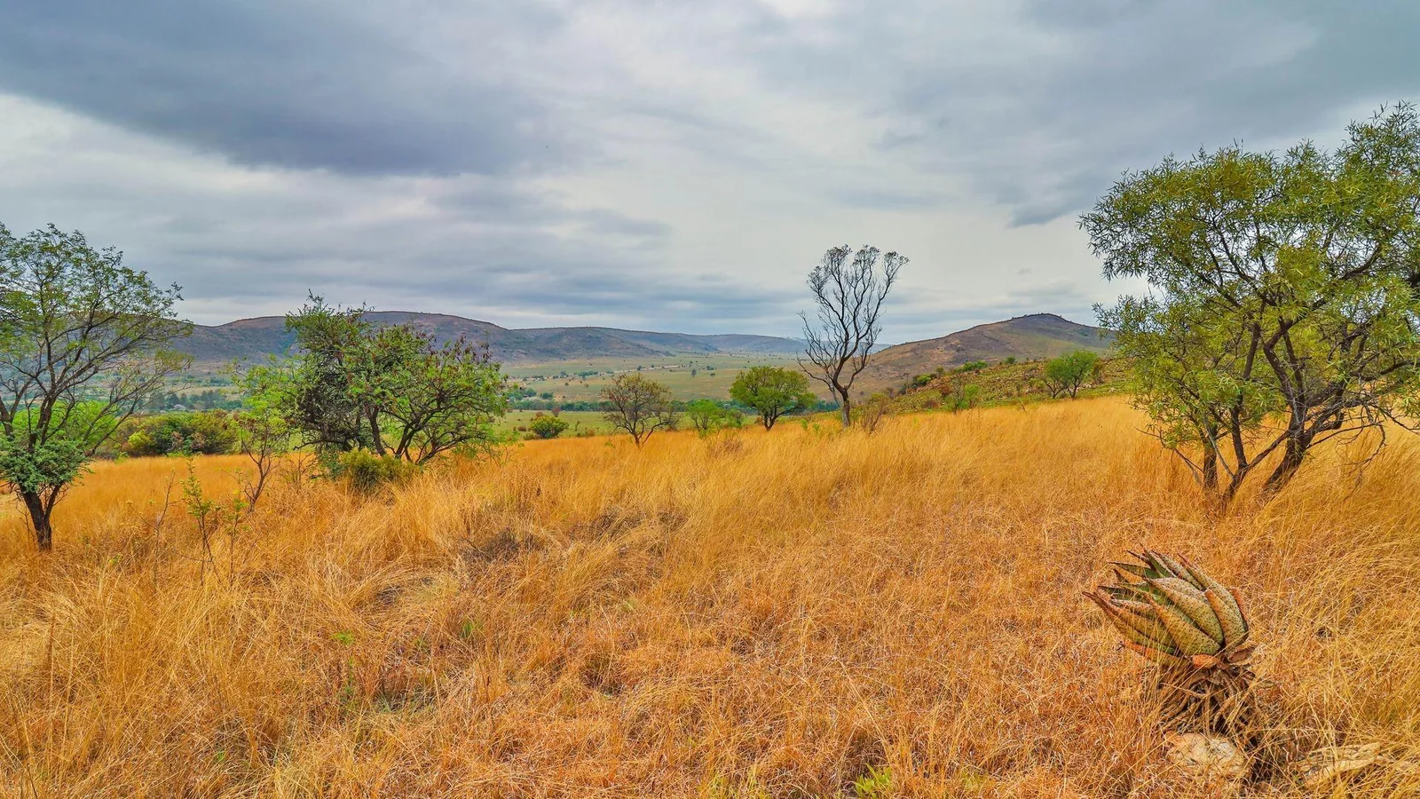 Exclusive 21-Hectare Investment Opportunity | Centurion