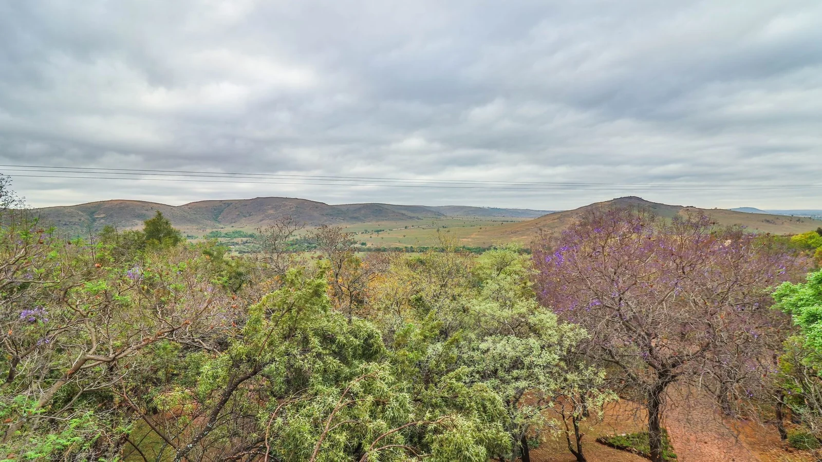 Exclusive 21-Hectare Farm Investment Opportunity | Centurion | Vlaksplaat