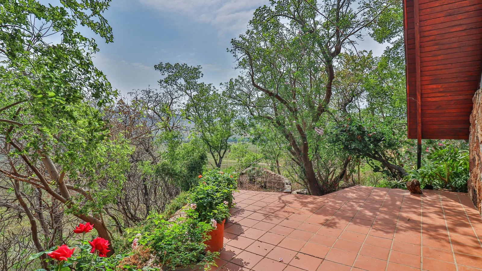 Exclusive 21-Hectare Farm Investment Opportunity | Centurion | Vlaksplaat