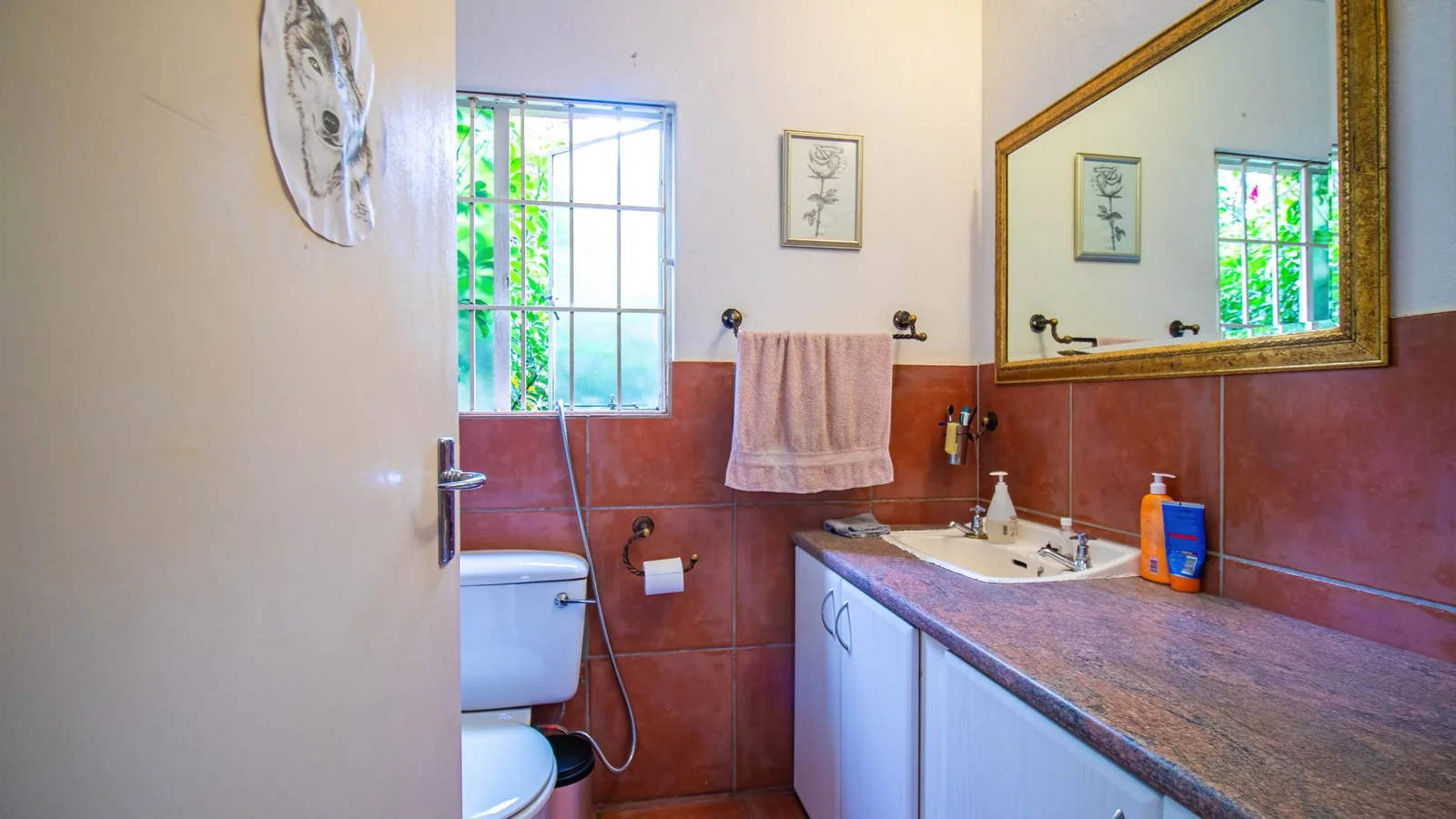 Exclusive 21-Hectare Farm Investment Opportunity | Centurion | Vlaksplaat