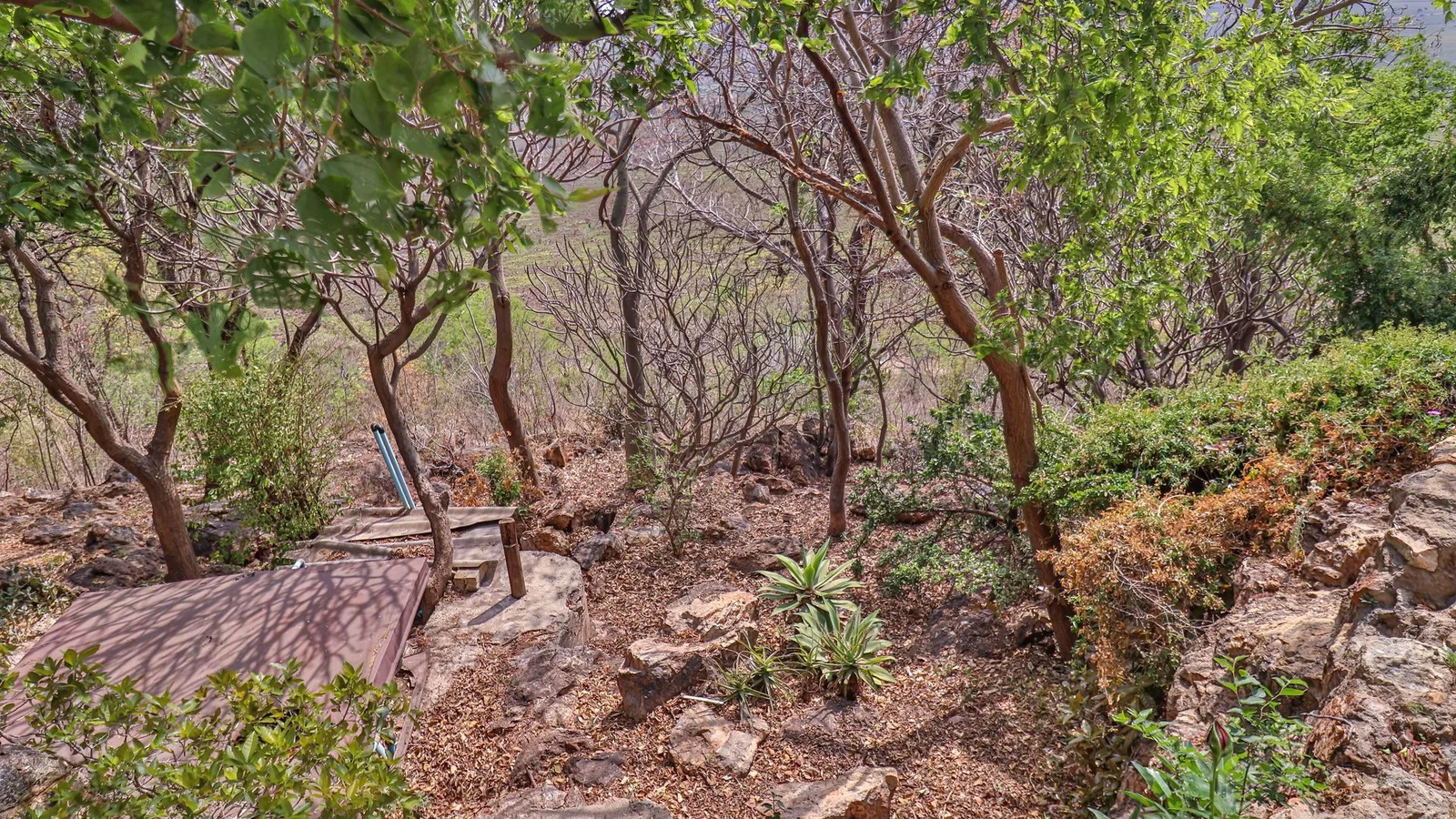 Exclusive 21-Hectare Farm Investment Opportunity | Centurion | Vlaksplaat