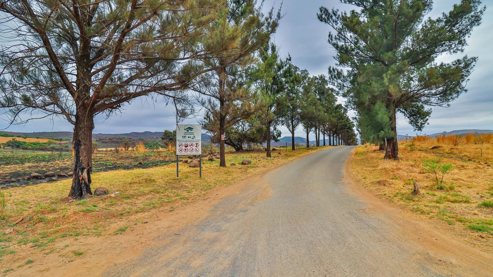 Exclusive 21-Hectare Farm Investment Opportunity | Centurion | Vlaksplaat