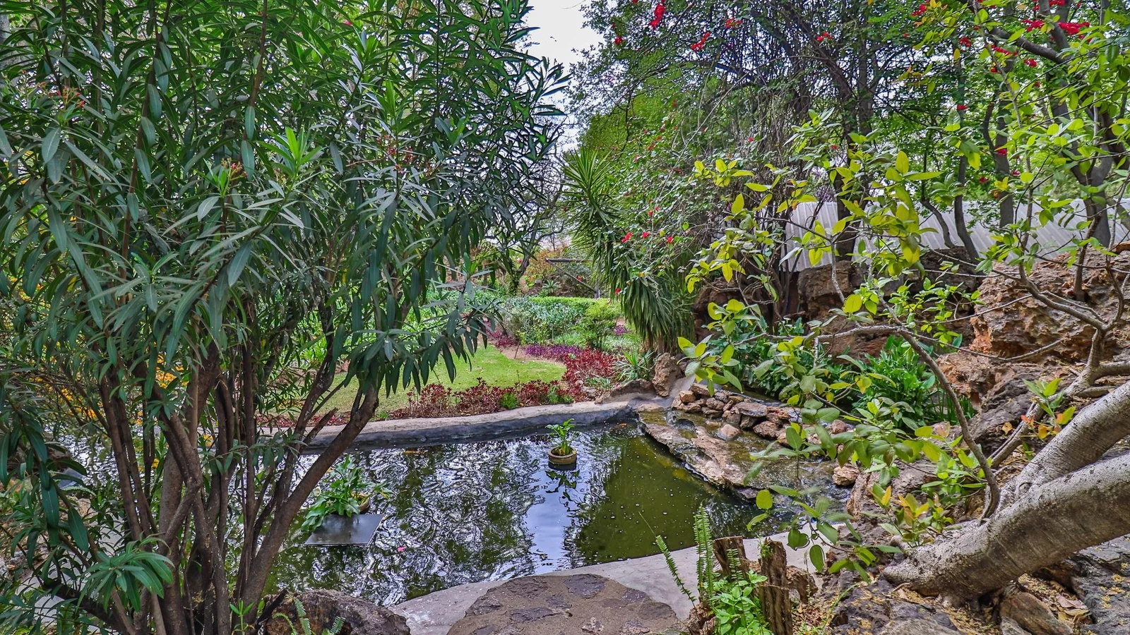 Exclusive 21-Hectare Farm Investment Opportunity | Centurion | Vlaksplaat