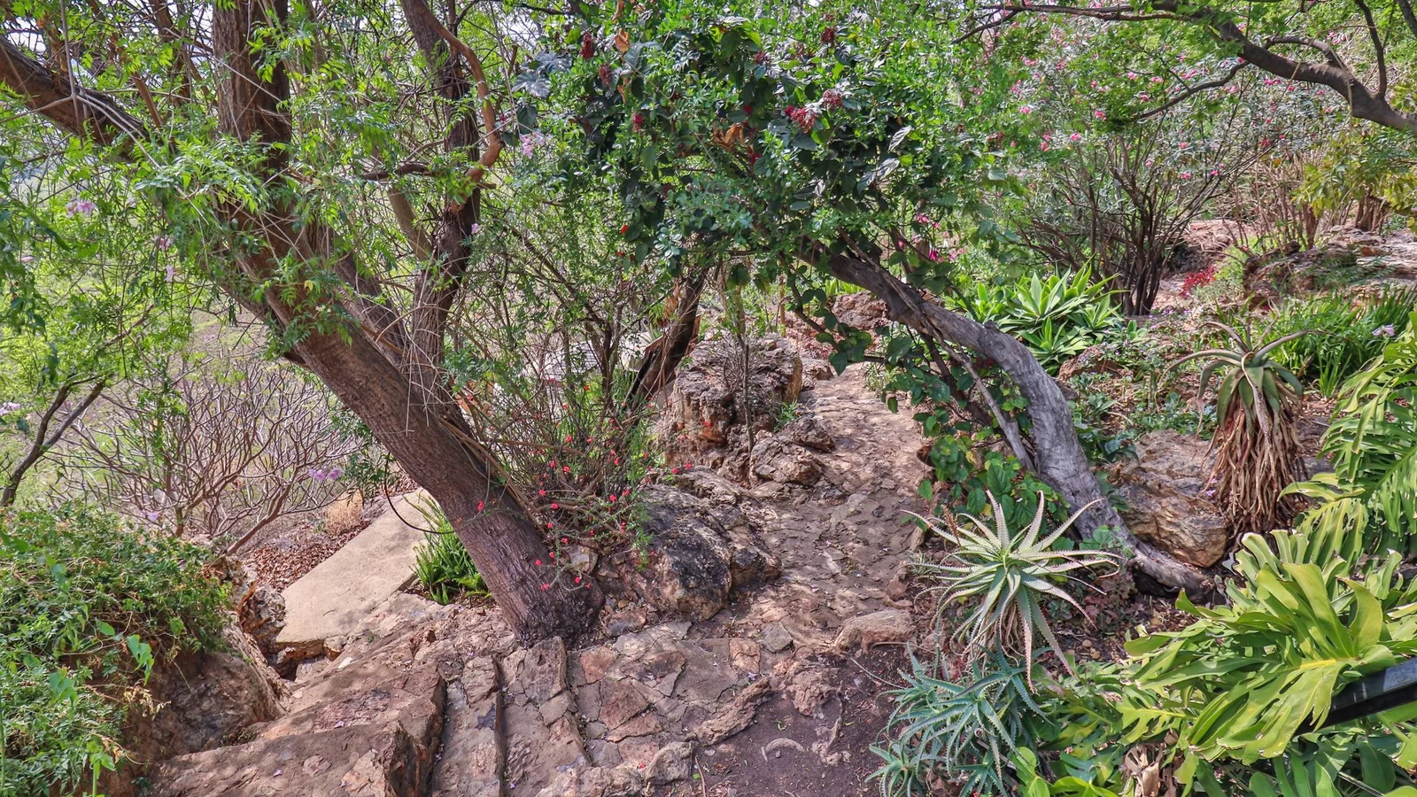 Exclusive 21-Hectare Farm Investment Opportunity | Centurion | Vlaksplaat