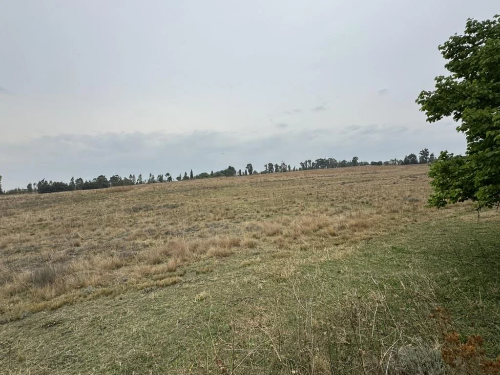 Stunning four-bedroom house next to the wildlife Park.