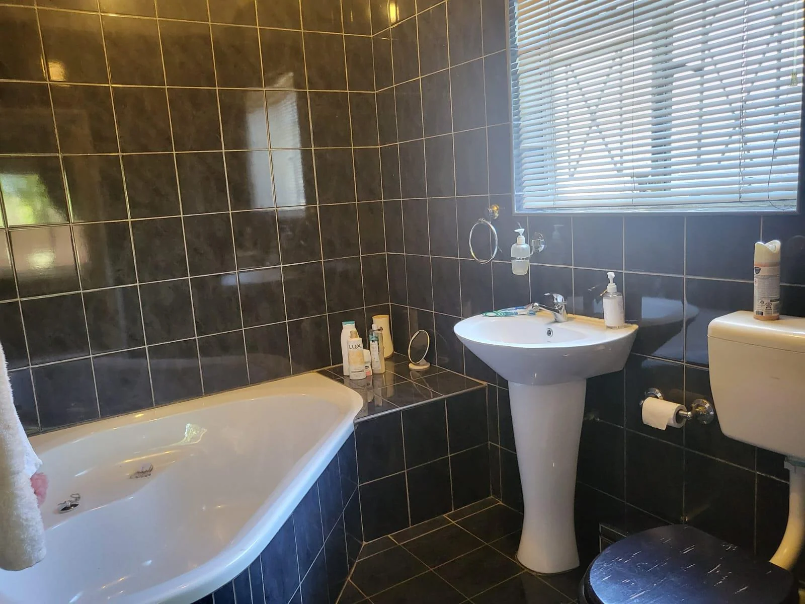 Reduced to sell!!  Well located family home with flatlet, swimming pool and salon area, for sale in Risiville.