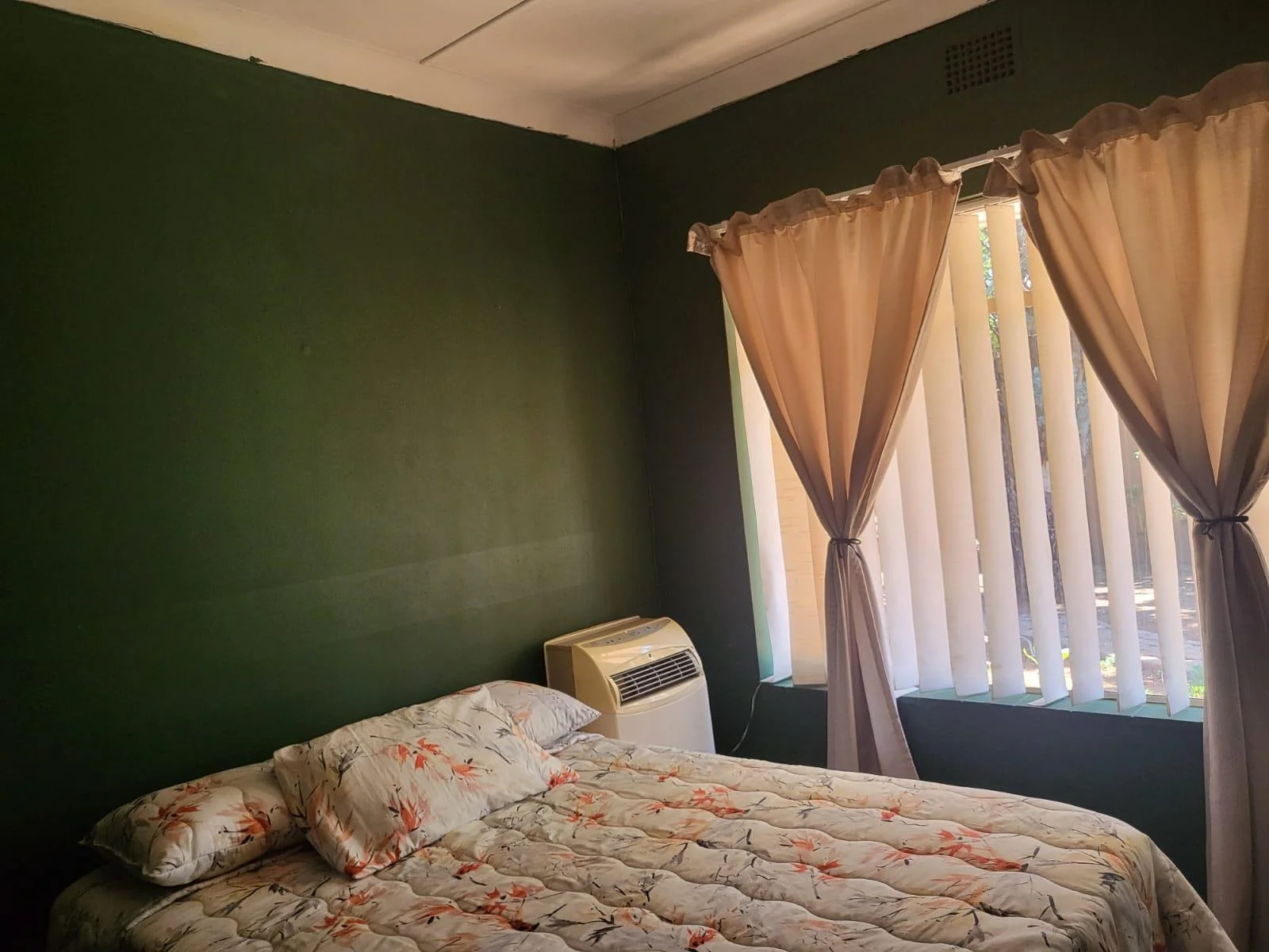 Reduced to sell!!  Well located family home with flatlet, swimming pool and salon area, for sale in Risiville.