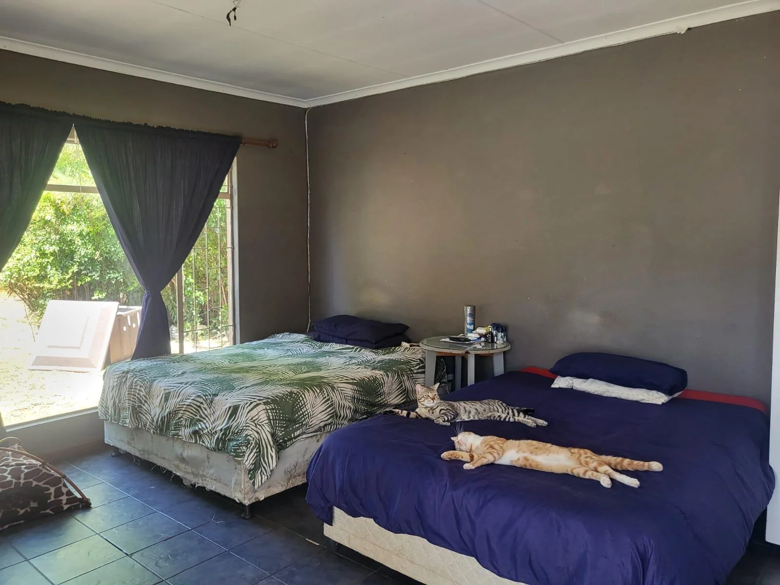 Reduced to sell!!  Well located family home with flatlet, swimming pool and salon area, for sale in Risiville.