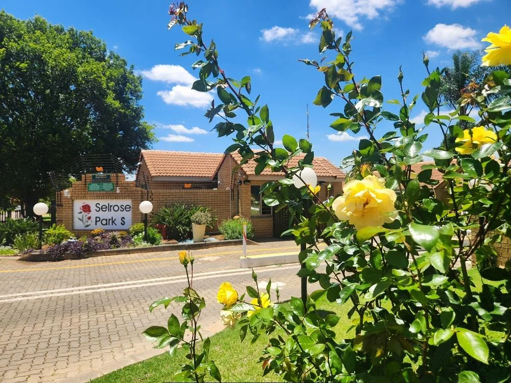 Simplex  in Retirement Village in Equestria.