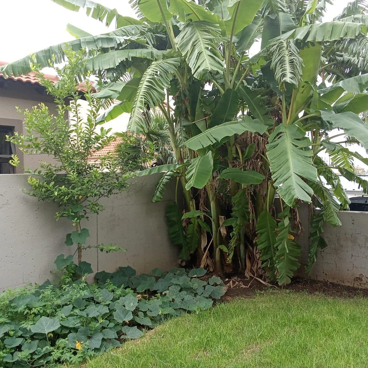 Modern Family Living with Space, Comfort & Security – Your Next Home Awaits