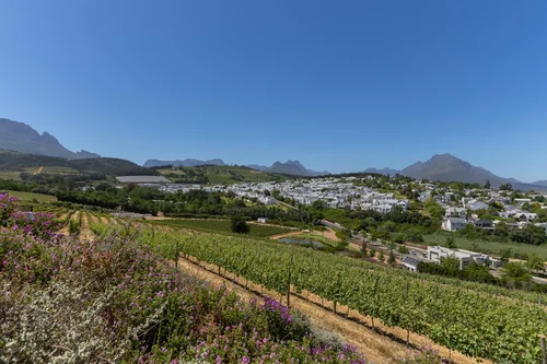 Weltevreden Hills Estate, Stellenbosch