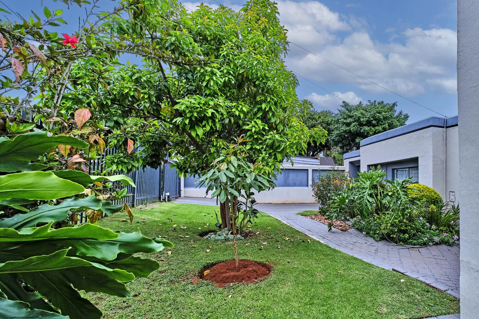 Fabulous, Versatile, Dual Family Living or Income-Generating Property!