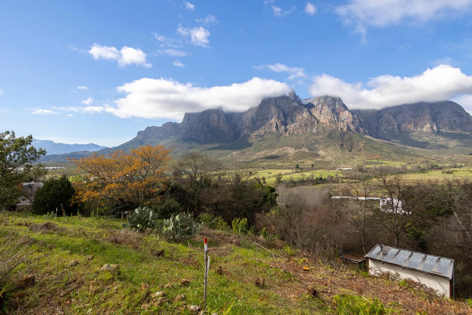 Plot and Plan in Secure Estate