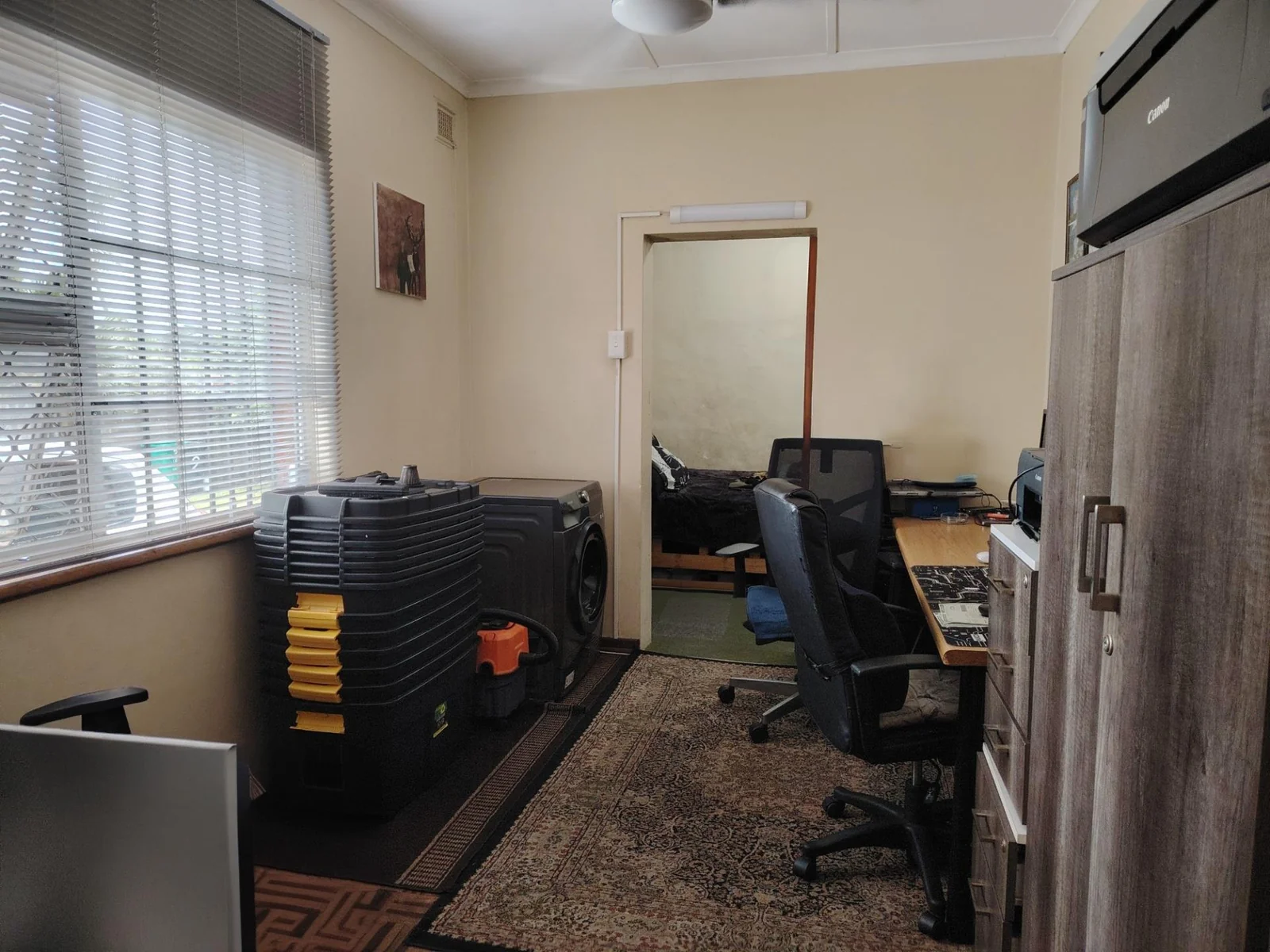 Plain Jane ready to be transformed