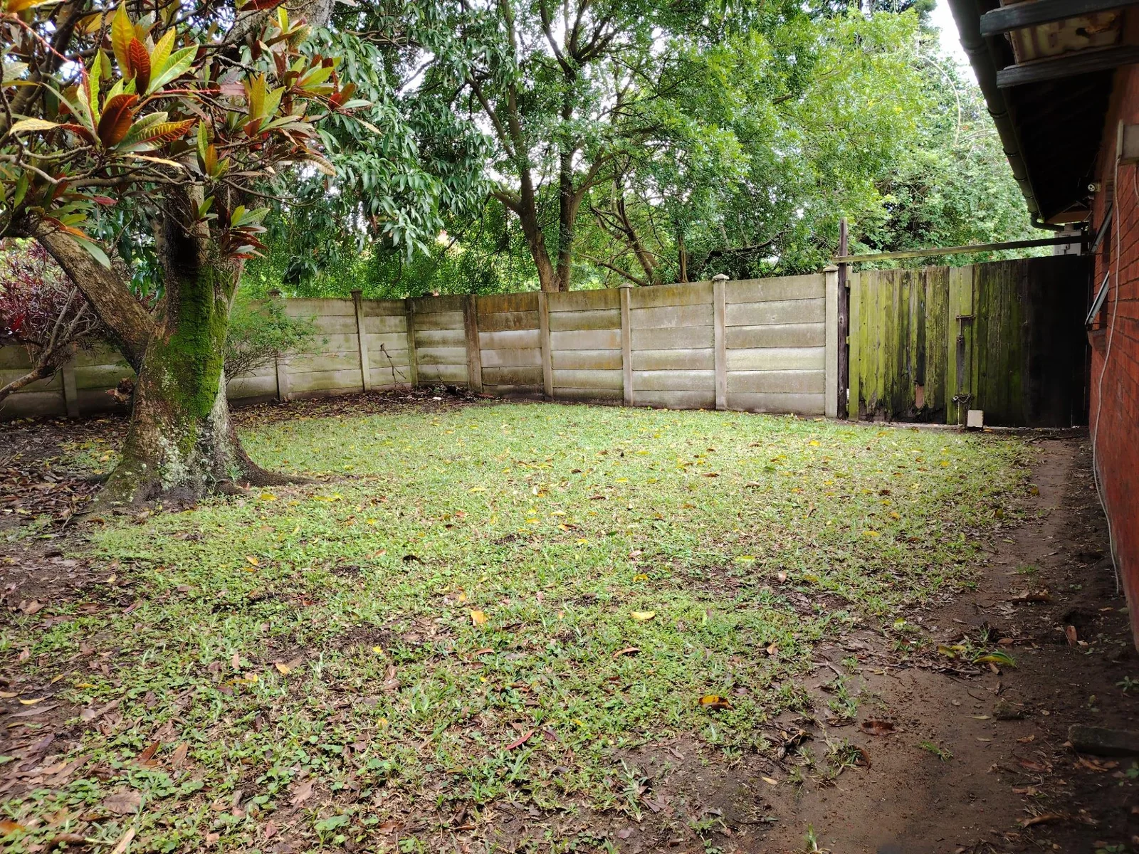 Plain Jane ready to be transformed