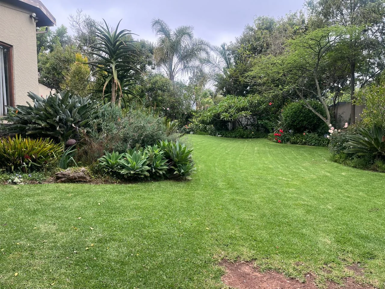 4 Bedroom House on the border of Glenhazel