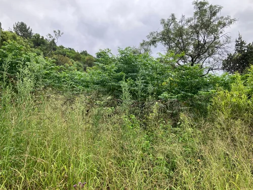 Lynnwood Manor, Pretoria